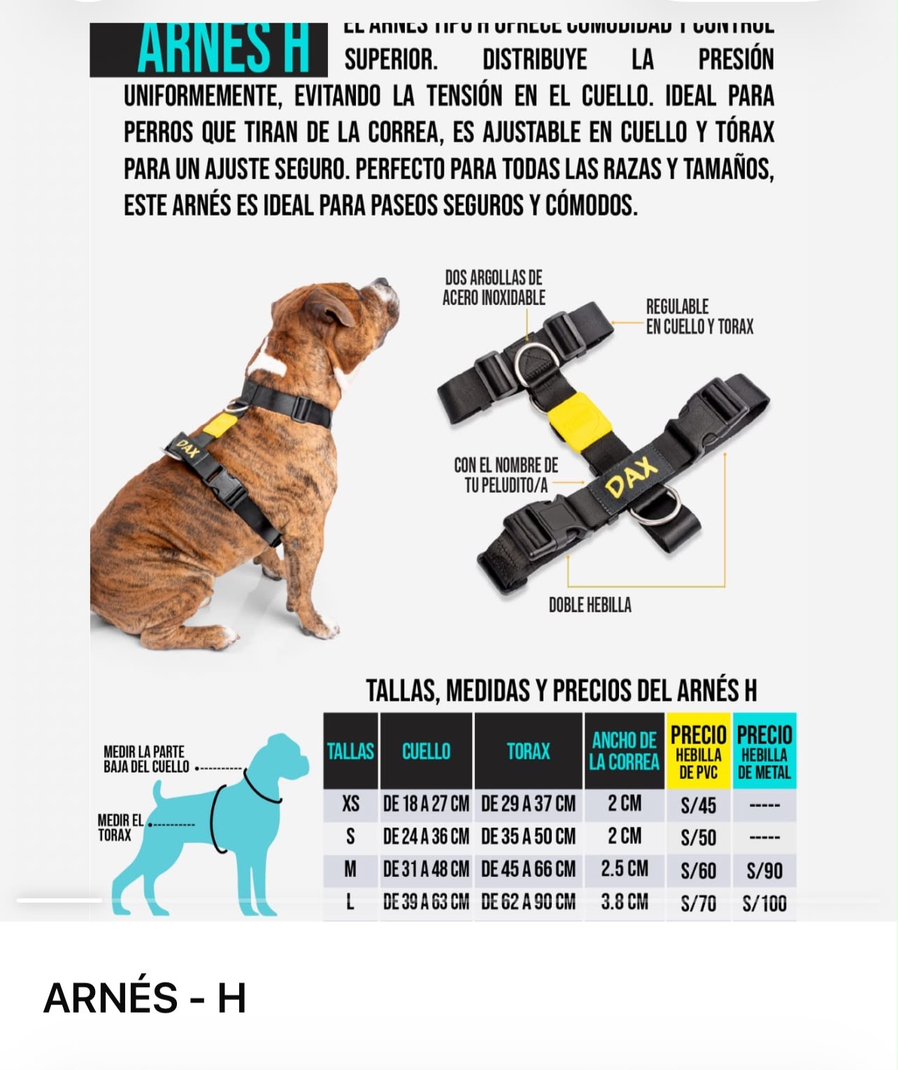 Perro